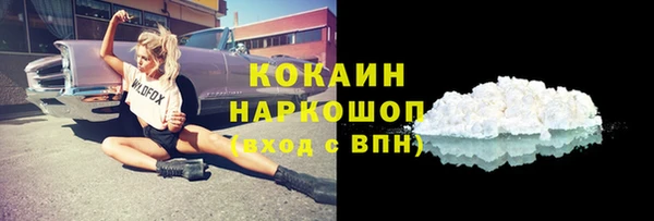 шишки Кодинск