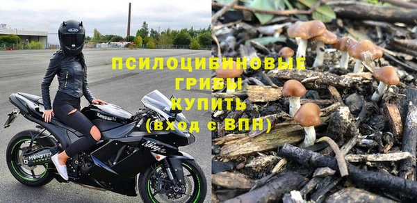 кокс Корсаков