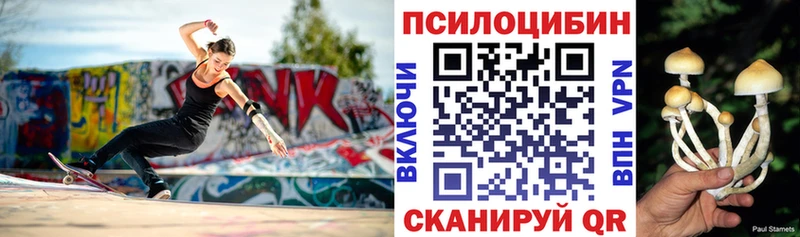 Купить  Палласовка  Галлюциногенные грибы Cubensis 